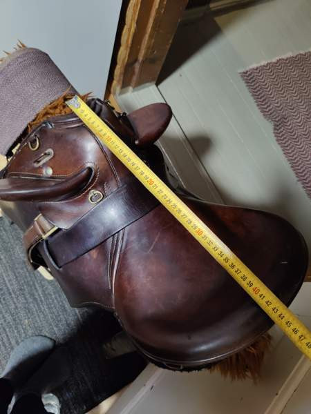 Australialainen karjasatula Petäjävesi – foto 6