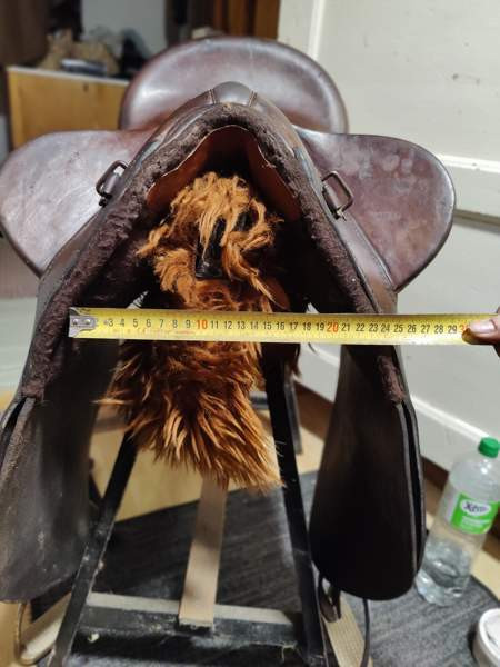 Australialainen karjasatula Petäjävesi – foto 3