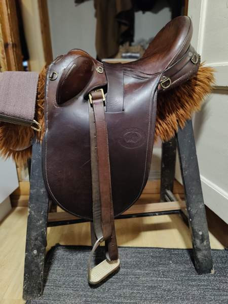 Australialainen karjasatula Petäjävesi – foto 1