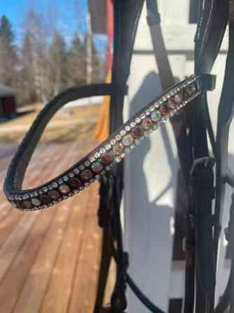 Tummanruskeat nahkasuitset Uurainen