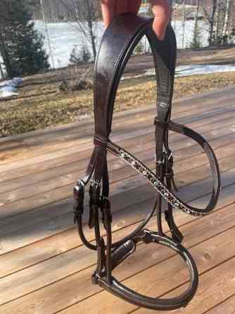 Tummanruskeat nahkasuitset Uurainen