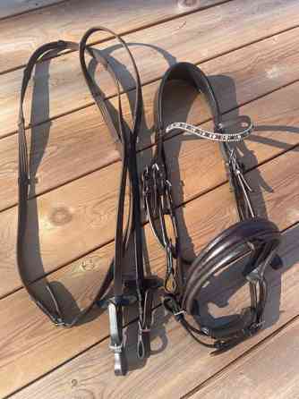 Tummanruskeat nahkasuitset Uurainen