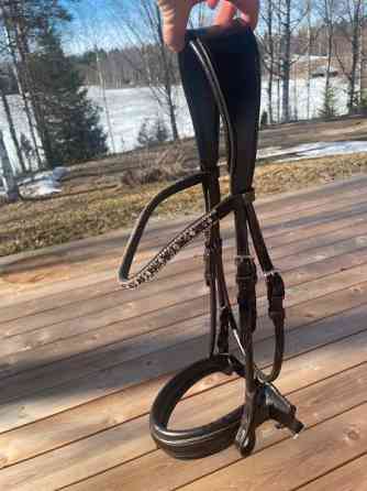 Tummanruskeat nahkasuitset Uurainen