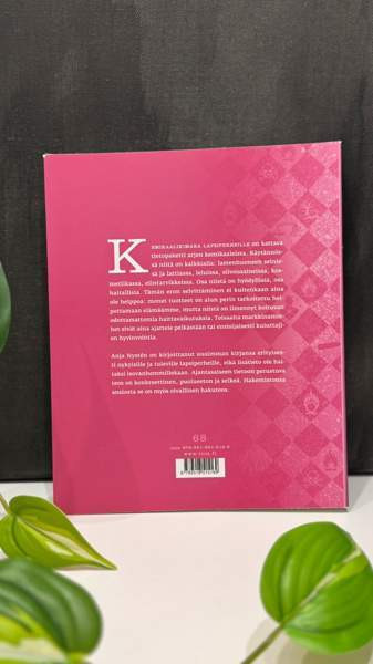 Nystén: Kemikaalikimara lapsiperheille Jyvaeskylae – foto 5