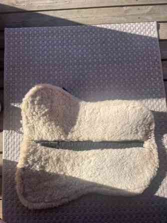 Lampaankarva-romaani Uurainen