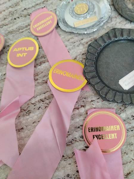 Palkintoja Kurikka - photo 2