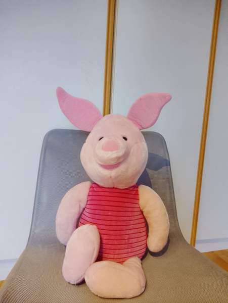 Nasu pehmolelu Vieremä - изображение 1