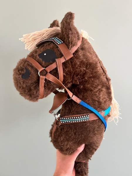 Keppihevonen Iitti – foto 2