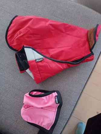 Takki ja juoksuhousut Turku