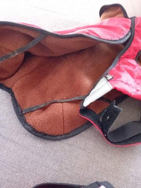 Takki ja juoksuhousut Turku - photo 2