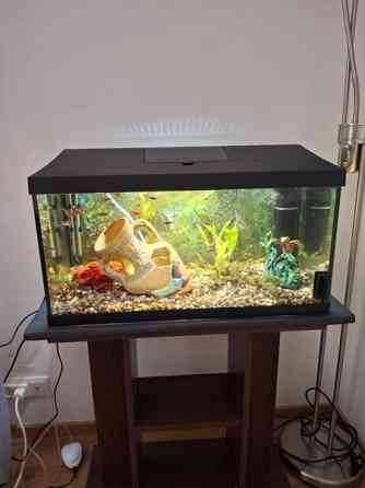 Akvaario ja teline. Kauhava