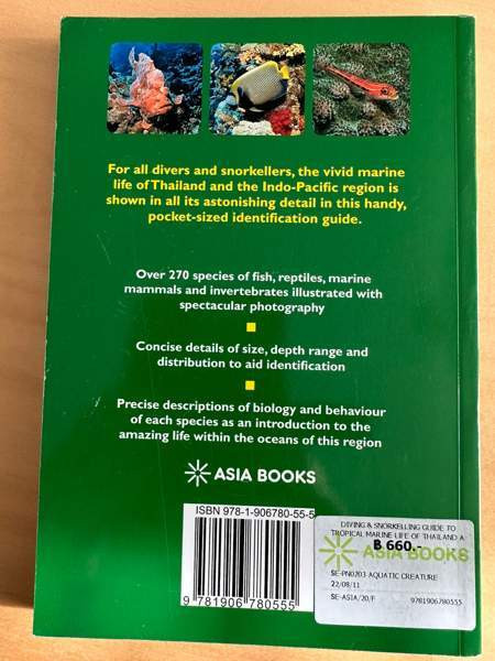 Sukellus, snorklaus ja kalat Vantaa - valokuva 2