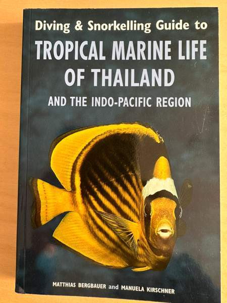 Sukellus, snorklaus ja kalat Vantaa - valokuva 1