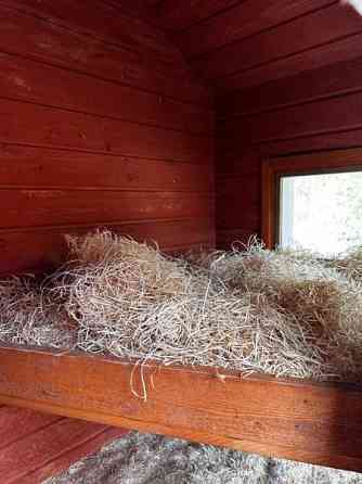 Koirankoppi Sonkajärvi