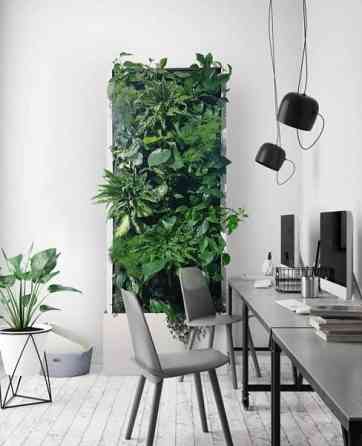 Kasviseinä 2kpl Sipoo