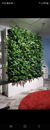 Kasviseinä 2kpl Sipoo