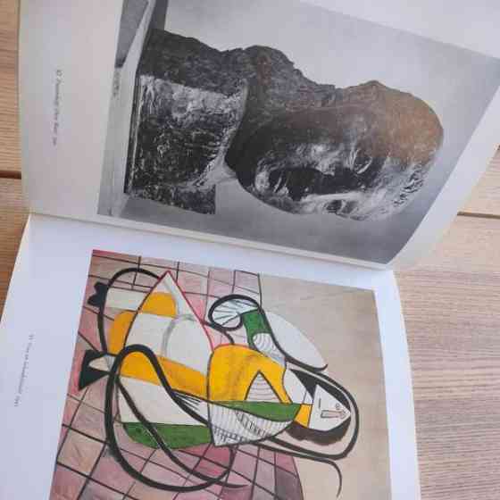 Picasso taide kirja Jyvaeskylae