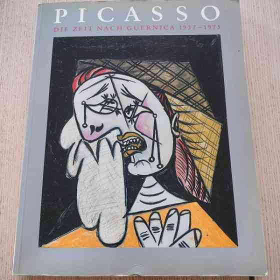 Picasso taide kirja Jyvaeskylae
