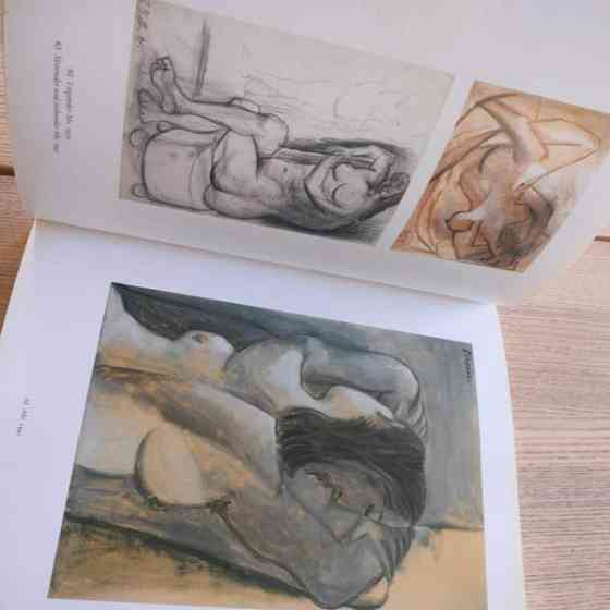 Picasso taide kirja Jyvaeskylae