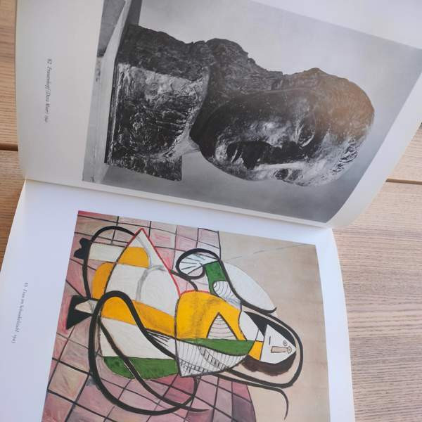 Picasso taide kirja Jyvaeskylae – foto 3