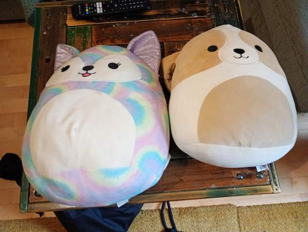 Squissit Kaarina - valokuva 1