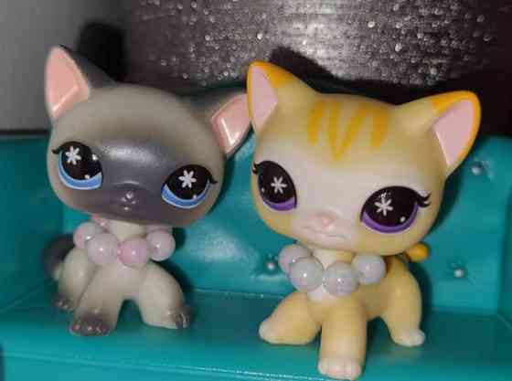 G7 Seisovat kissat LPS (TARJOA) Вантаа