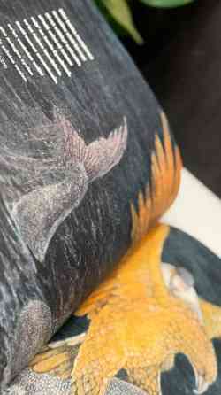 Suomen lasten Kalevala Jyvaeskylae