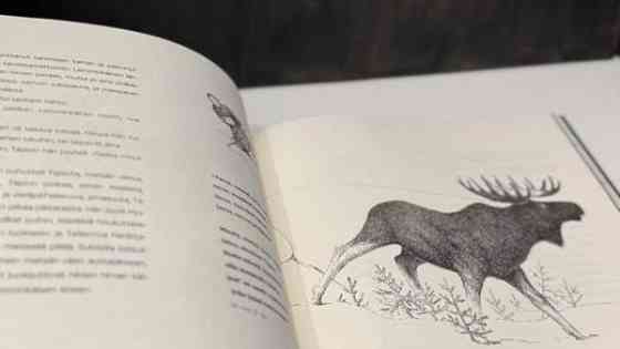 Suomen lasten Kalevala Jyvaeskylae