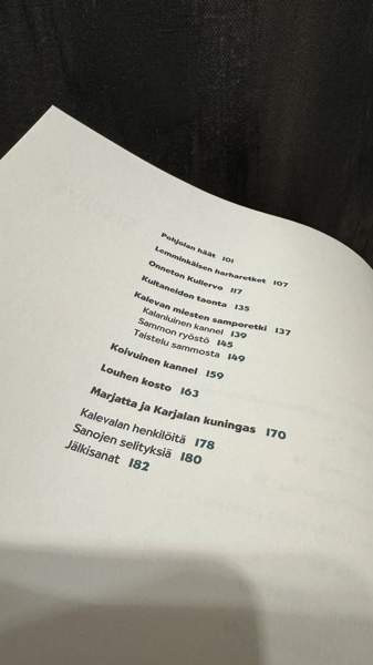 Suomen lasten Kalevala Jyvaeskylae – foto 4