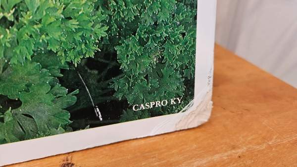 Vintage opetustaulu kasvi sisustus taulu Helsinki - valokuva 8