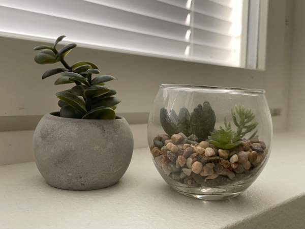 Tekokasvit 2 kpl Nurmijärvi - valokuva 1