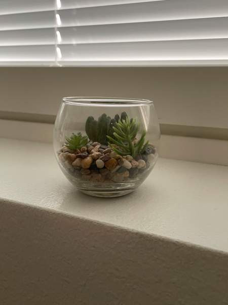 Tekokasvit 2 kpl Nurmijärvi - valokuva 3