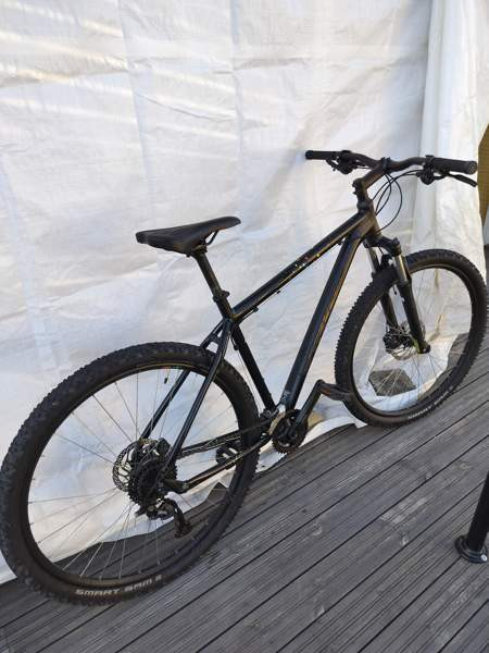 Stevens Tonga Salo - photo 5