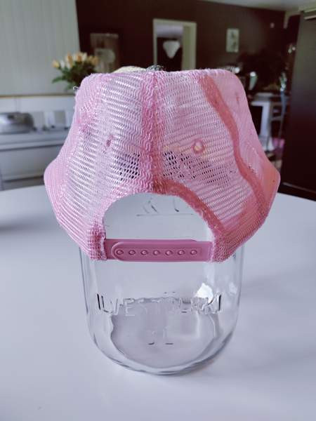 Lippalakki Nokia - photo 3