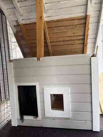 Eristetty koirankoppi etäisellä ja ikkunalla Oulu