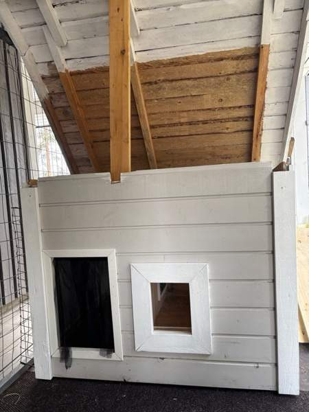 Eristetty koirankoppi etäisellä ja ikkunalla Oulu - photo 1