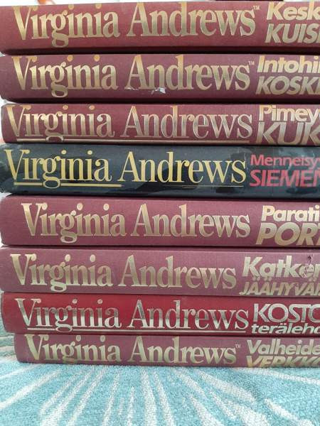 Kirjoja Хямеэнлинна - изображение 7