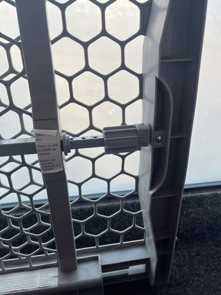 Koiraportti Tampere - valokuva 3