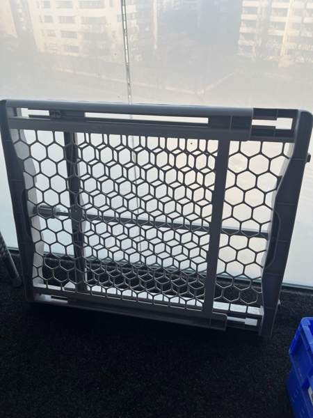 Koiraportti Tampere - valokuva 1