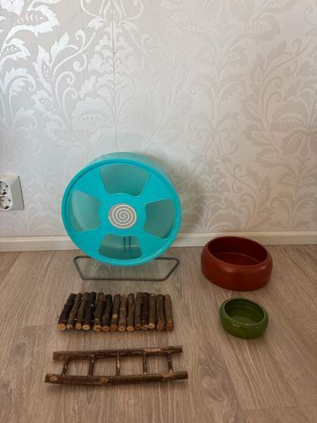 Hyvä aloitus pakkaus uudelle hamsteri omistajalle. Löytyy kaikki tarvittava! Seinäjoki - valokuva 3