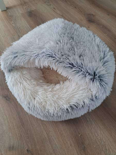 Peti Mikkeli - valokuva 1