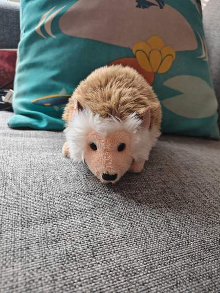 Pieni Siili Pehmolelu Tampere – foto 1