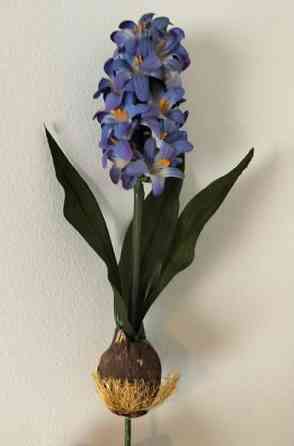 TEKOKUKKA hyasintti sipulilla 27 cm (vintage) Tampere