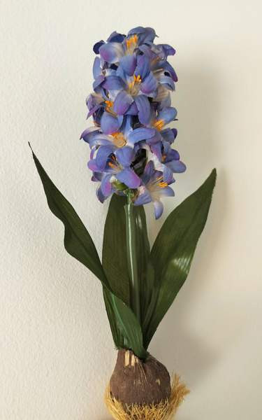 TEKOKUKKA hyasintti sipulilla 27 cm (vintage) Tampere – foto 1