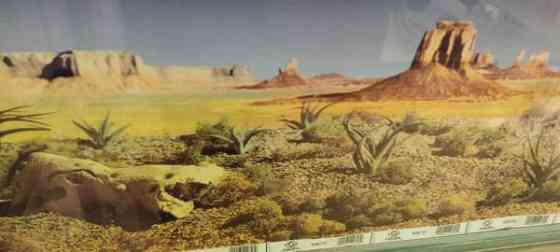 Terraario 95x70x40 + jalat Seinaejoki