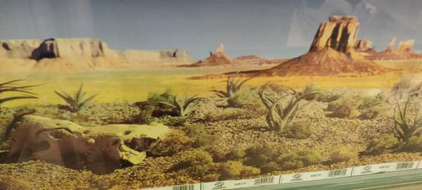 Terraario 95x70x40 + jalat Сейняйоки - изображение 6