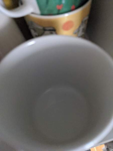 Arabian pupu ylioppilas muki Mikkeli – foto 3