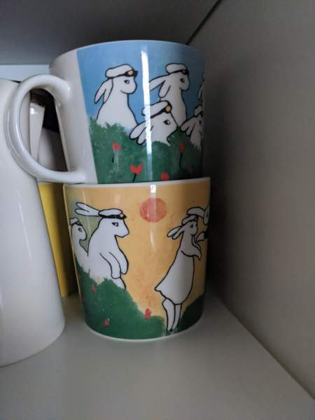 Arabian pupu ylioppilas muki Mikkeli – foto 2