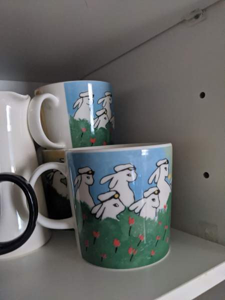 Arabian pupu ylioppilas muki Mikkeli – foto 1