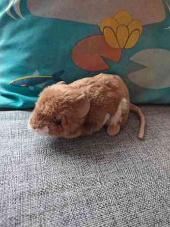 Jyrsijä pehmolelu Tampere